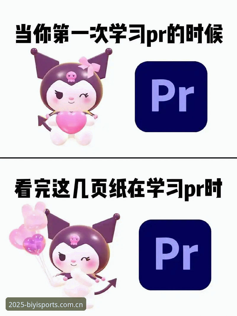 必一体育官方入口使用指南：新手快速上手指南详解